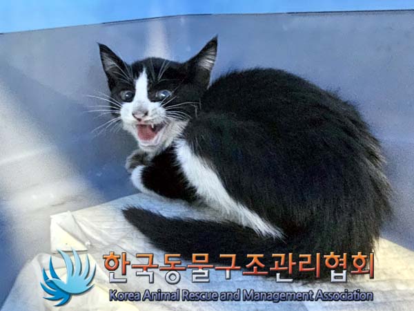 한국동물구조관리협회_441409202400887