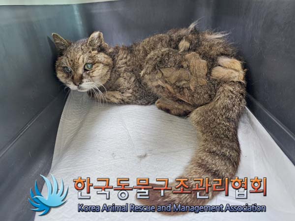 한국동물구조관리협회_411304202400302