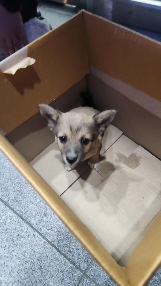 익산유기동물보호소_445468202401724