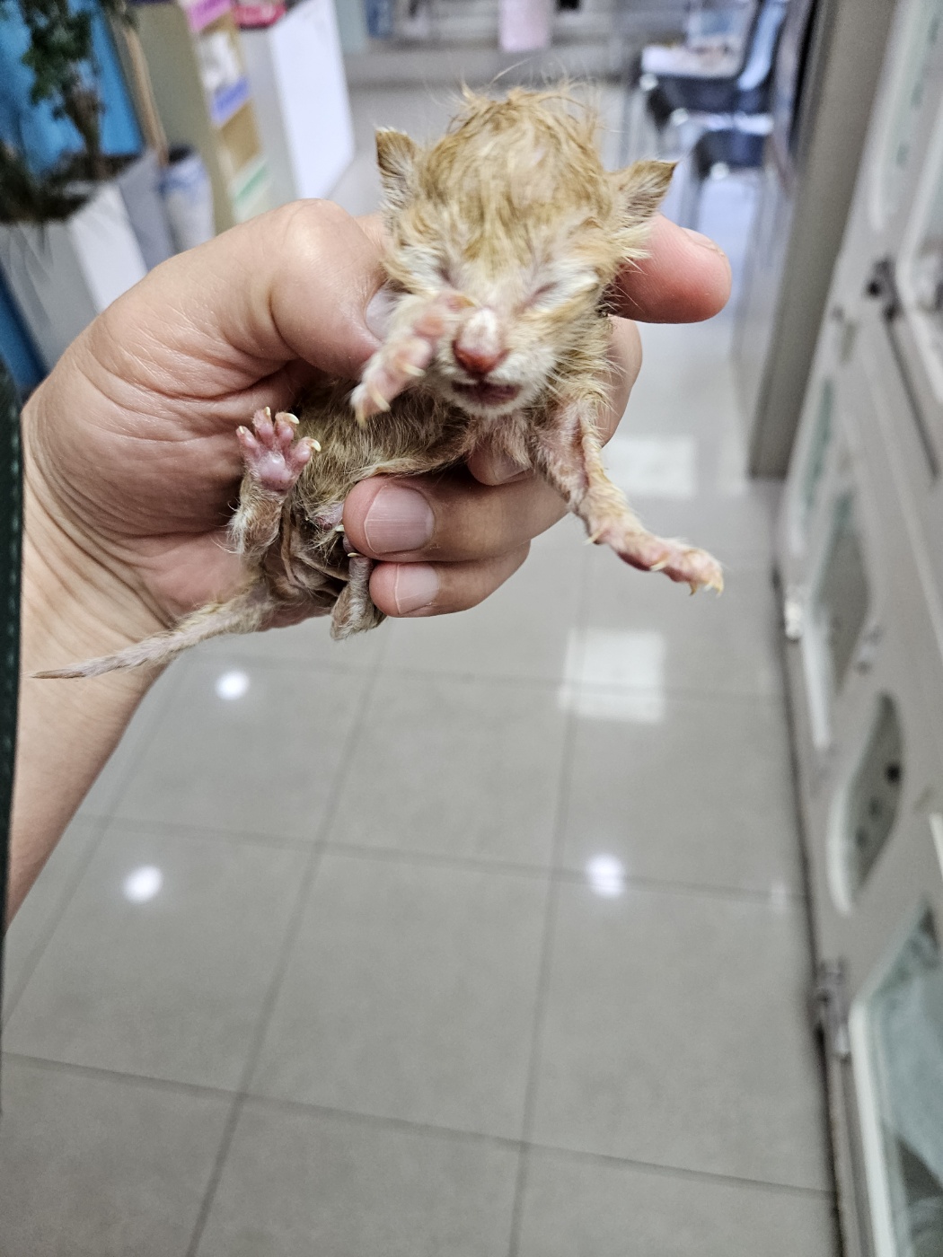둔촌동물병원_411324202400328