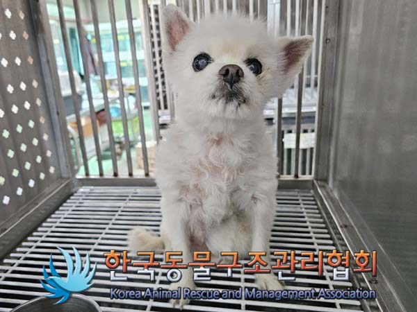 한국동물구조관리협회_411311202400511