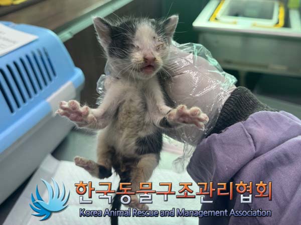 한국동물구조관리협회_411305202400388