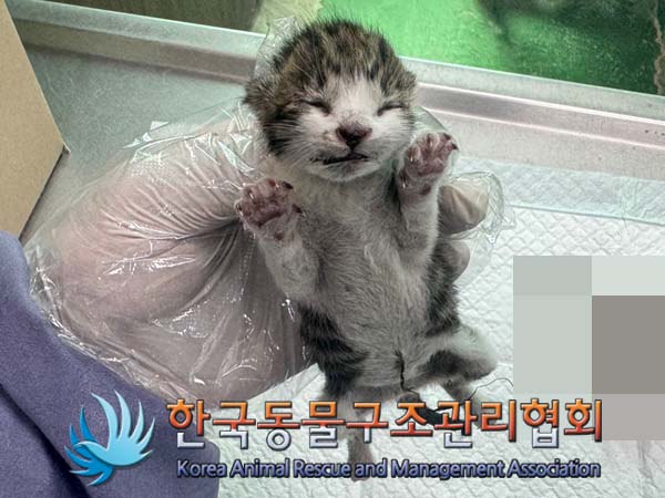 한국동물구조관리협회_441382202400521