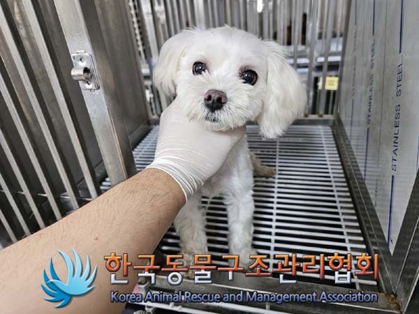 한국동물구조관리협회_411317202400193