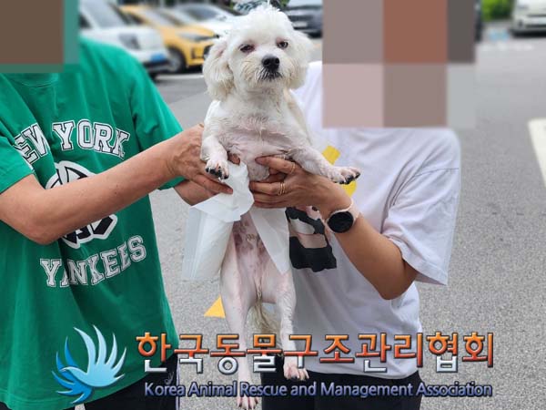 한국동물구조관리협회_411310202400512