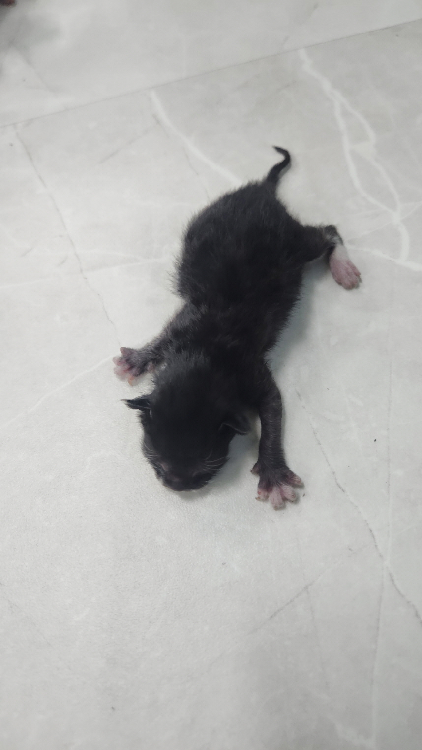 익산유기동물보호소_445468202401775