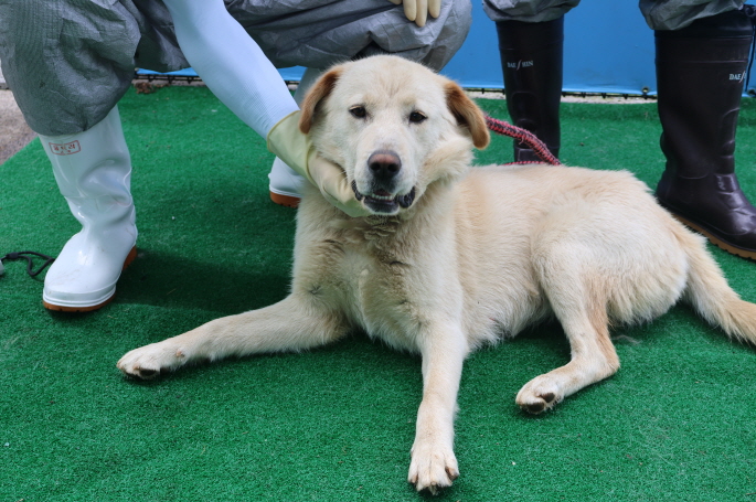 제주 동물보호센터_450650202401843