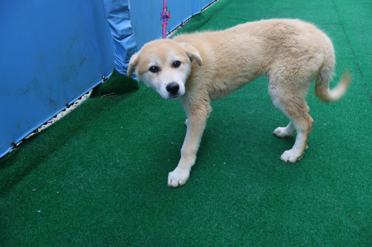 제주 동물보호센터_450650202401842