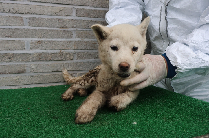 제주 동물보호센터_450650202401845