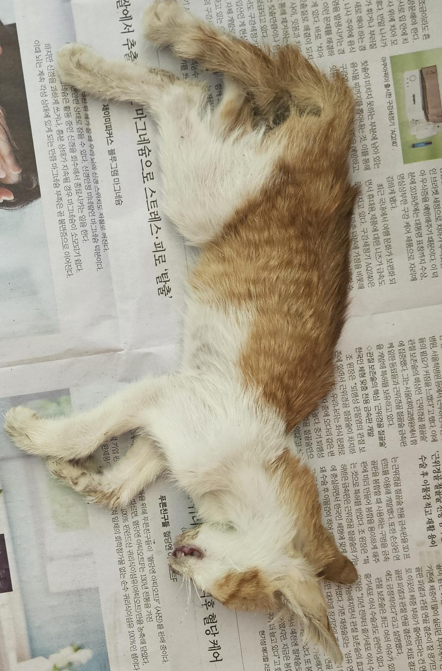 종료(자연사) 한국…