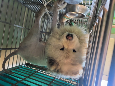 사단법인 동부_426340202400130