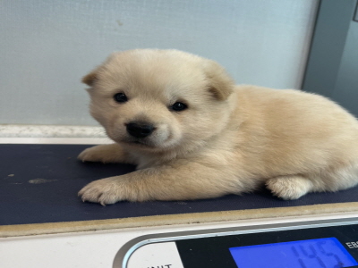 사단법인 동부_426340202400135