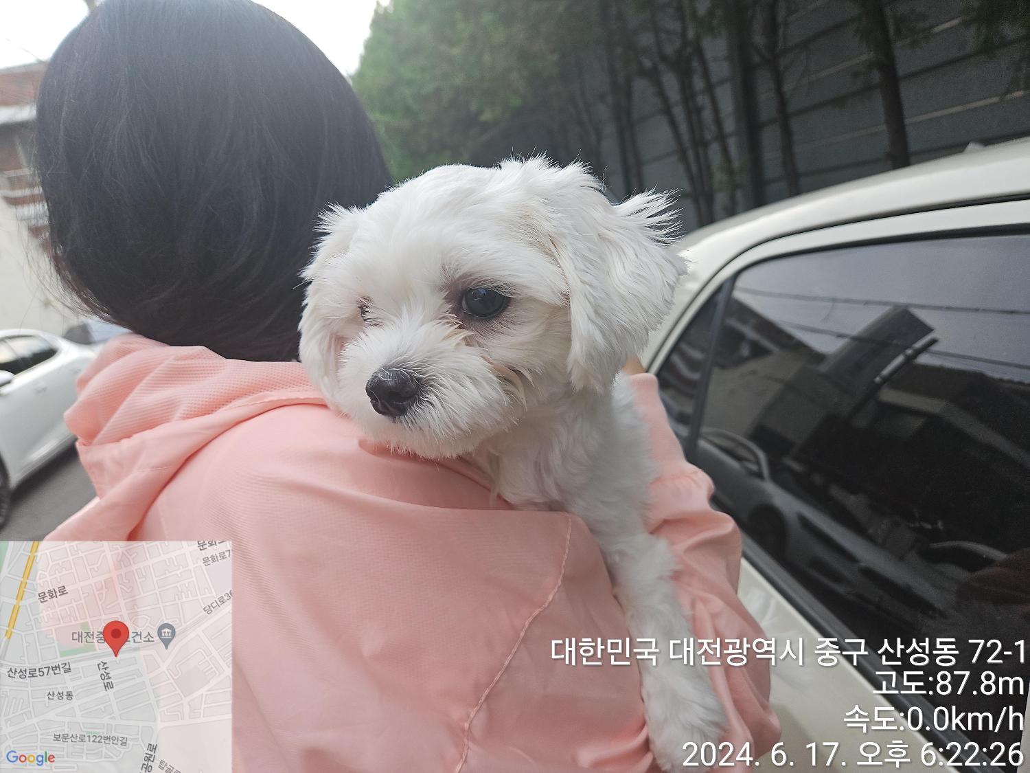 대전동물보호센터_430365202400246
