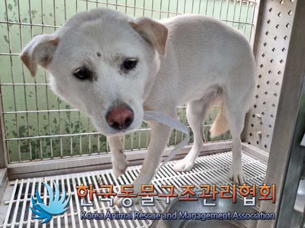한국동물구조관리협회_441559202400658