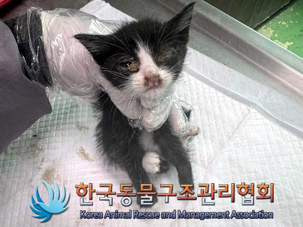 종료(자연사) 한국…