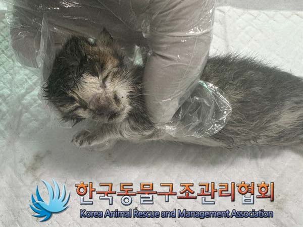 종료(자연사) 한국…