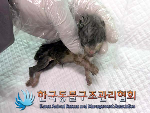 종료(자연사) 한국…