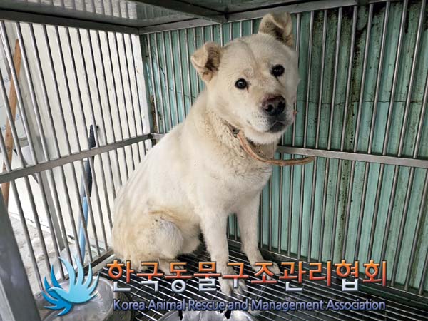 한국동물구조관리협회_441409202400924
