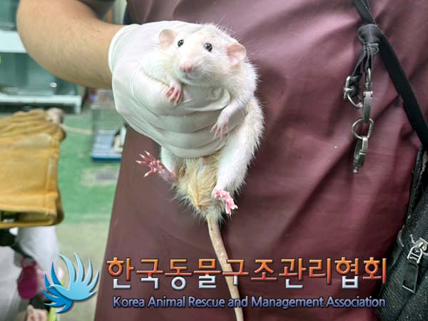 한국동물구조관리협회_411312202400519