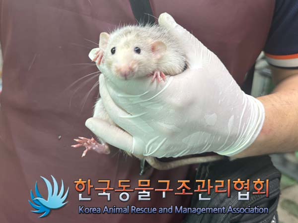 한국동물구조관리협회_411312202400518