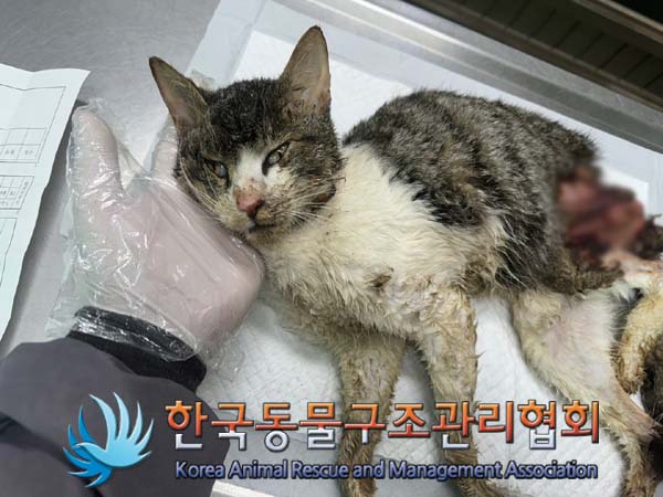 종료(자연사) 한국…