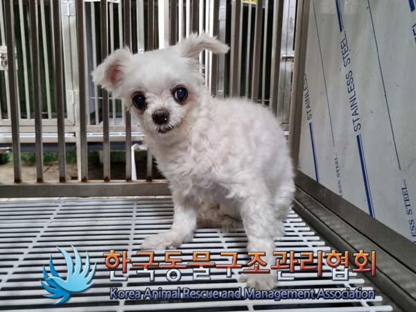 한국동물구조관리협회_411304202400313