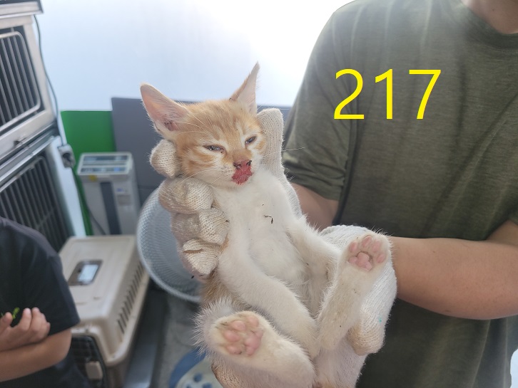 신영재동물병원_428355202400402