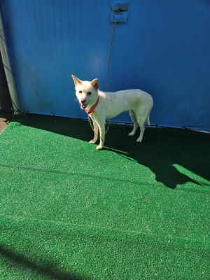 제주 동물보호센터_450650202401868