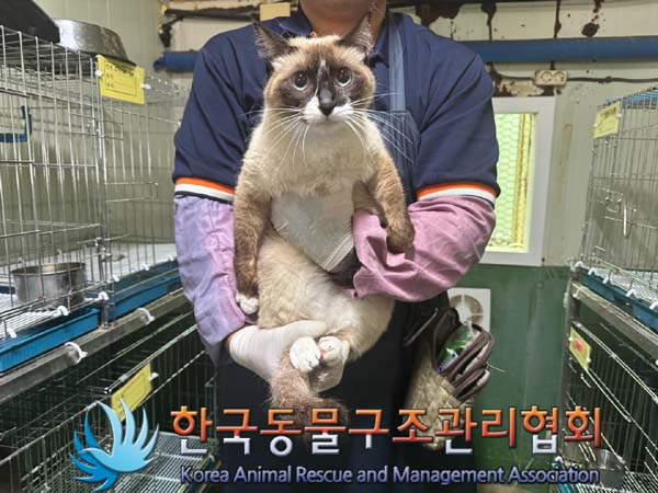 한국동물구조관리협회_411310202400514