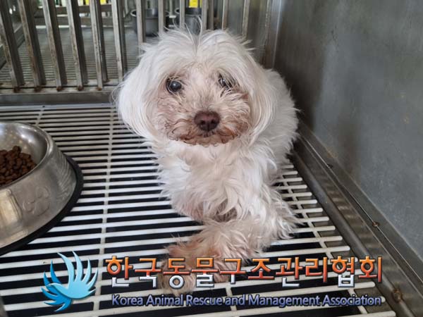한국동물구조관리협회_441406202401090