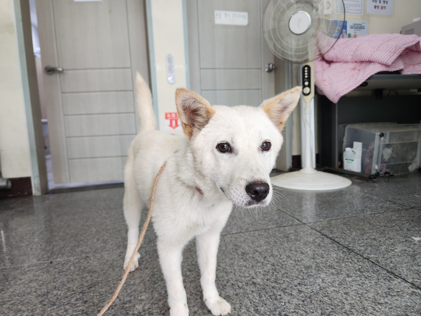 광주 동물보호소_429359202400298