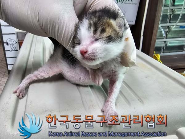 종료(자연사) 한국…