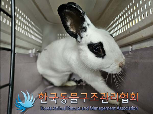 한국동물구조관리협회_411315202400346