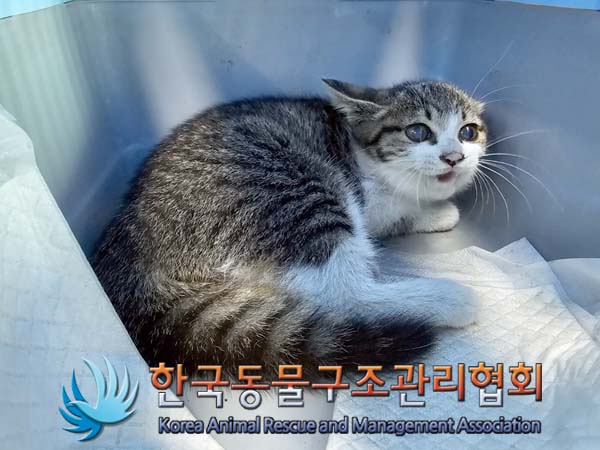 한국동물구조관리협회_411315202400345