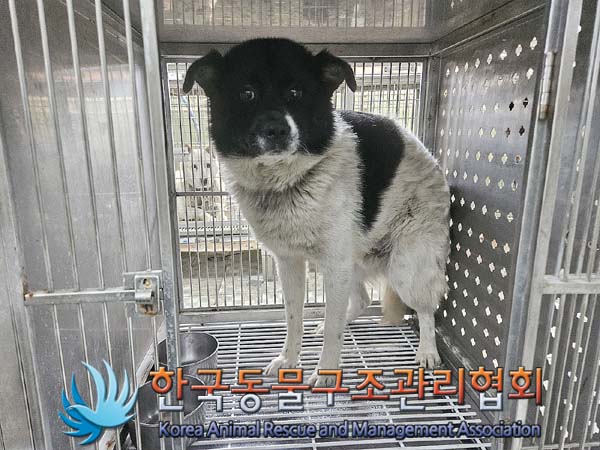 한국동물구조관리협회_441560202400656