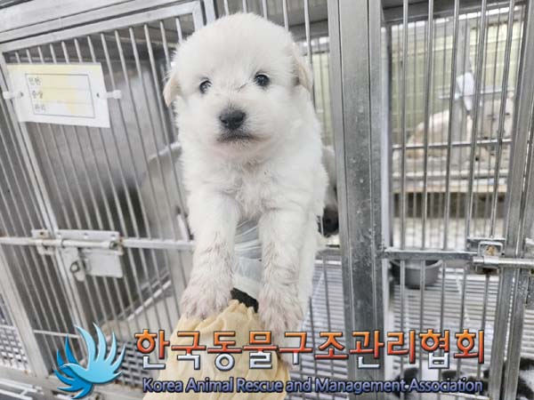 한국동물구조관리협회_441560202400660