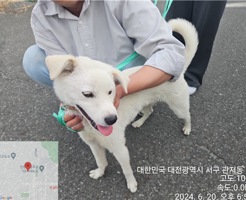 대전동물보호센터_430367202400440