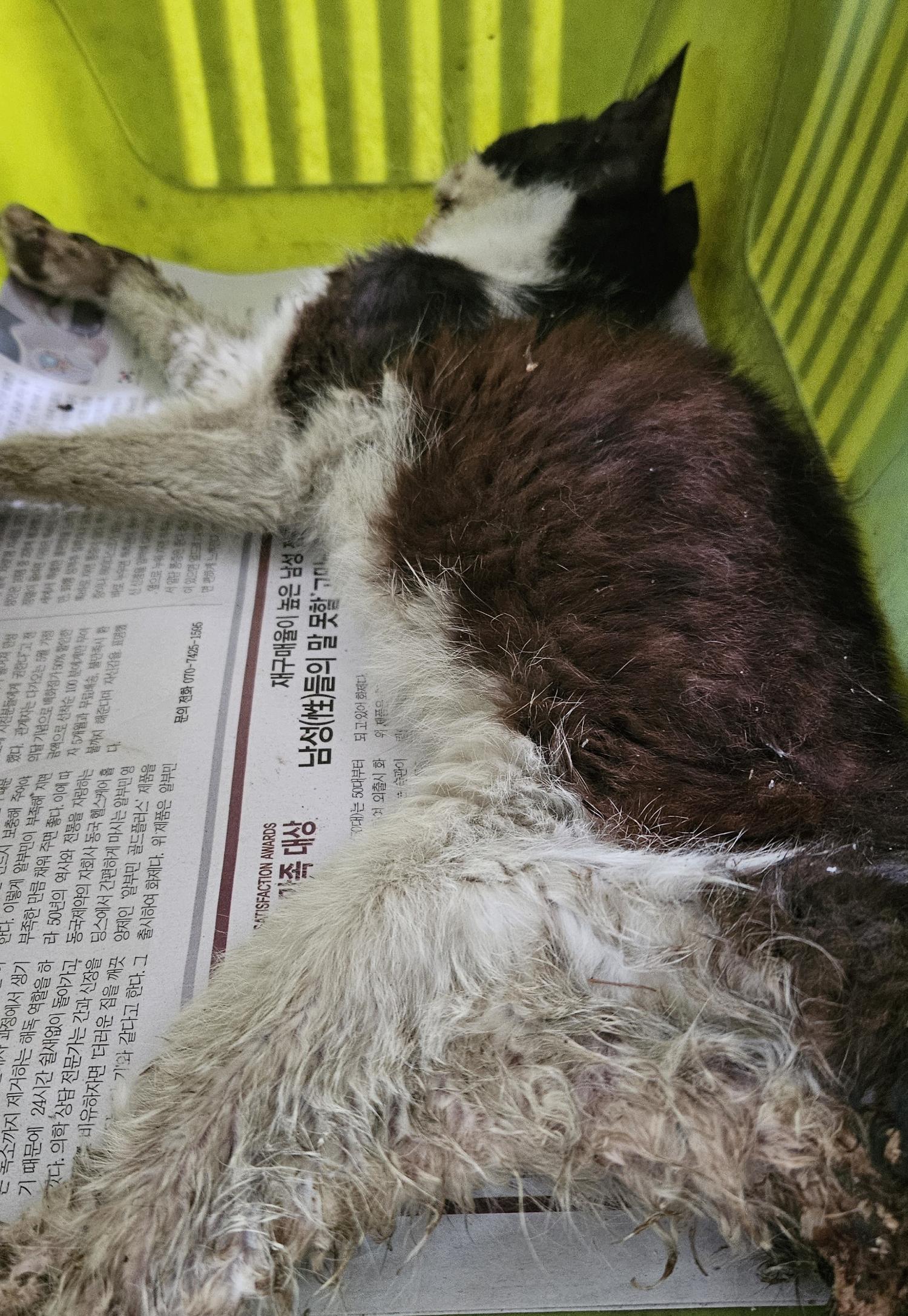종료(자연사) 한국…