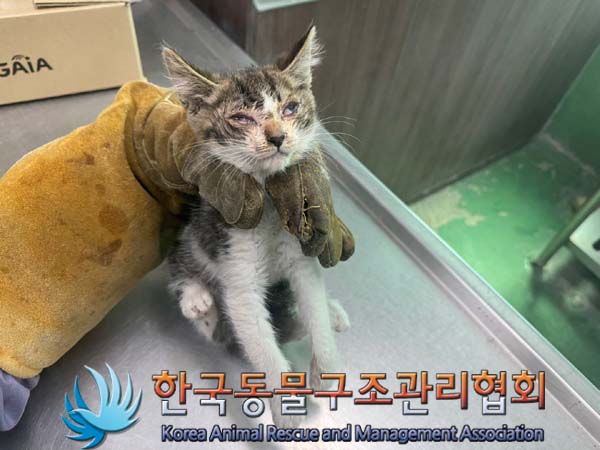 종료(자연사) 한국…