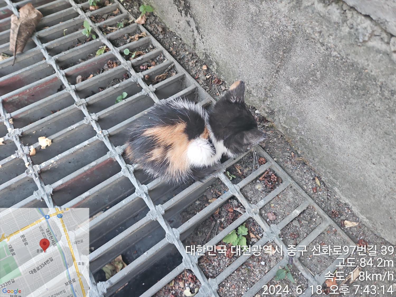 종료(자연사) 한국…