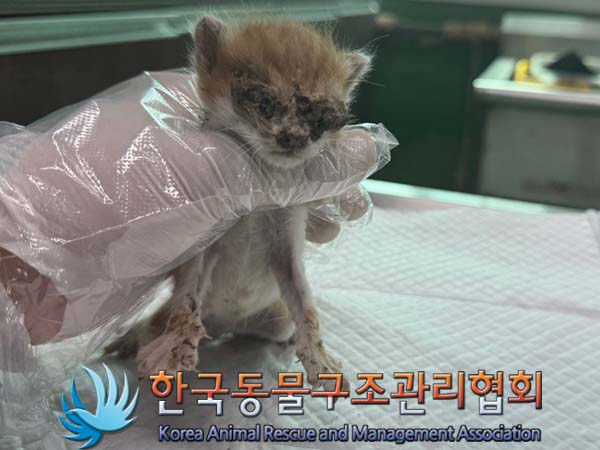 한국동물구조관리협회_411307202400314