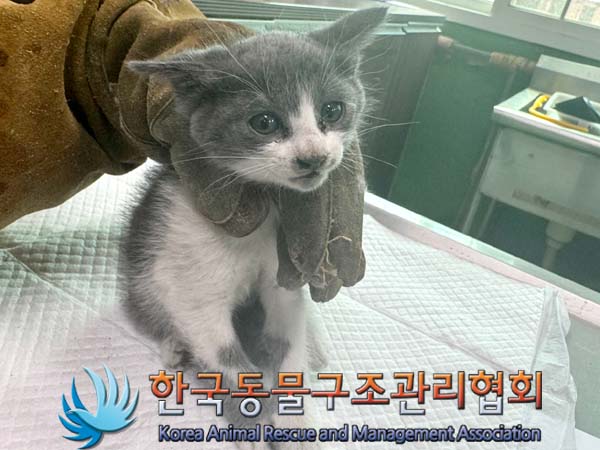 종료(자연사) 한국…