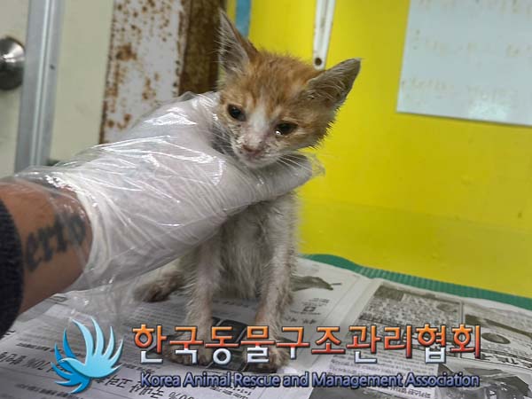 한국동물구조관리협회_441414202400412
