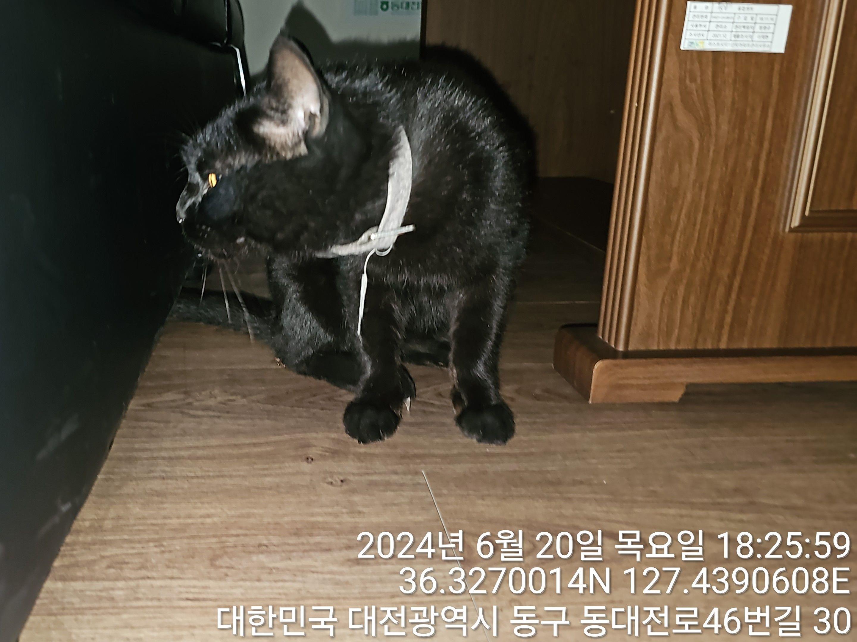 종료(반환) 한국 …