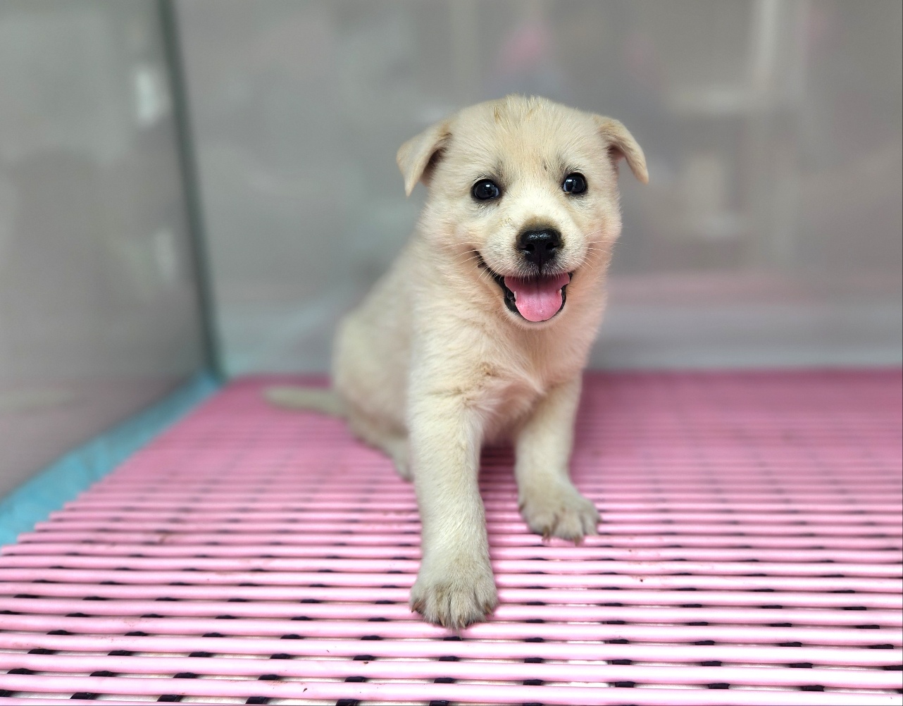 광주TNR동물병원초월_441554202401236