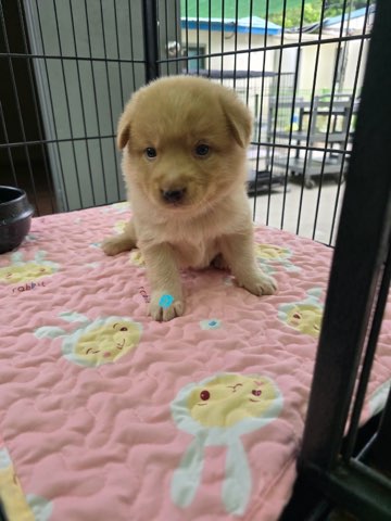 밀양시 동물보호센터_448536202401077
