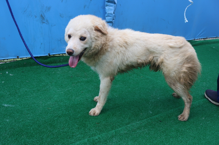 제주 동물보호센터_450650202401888