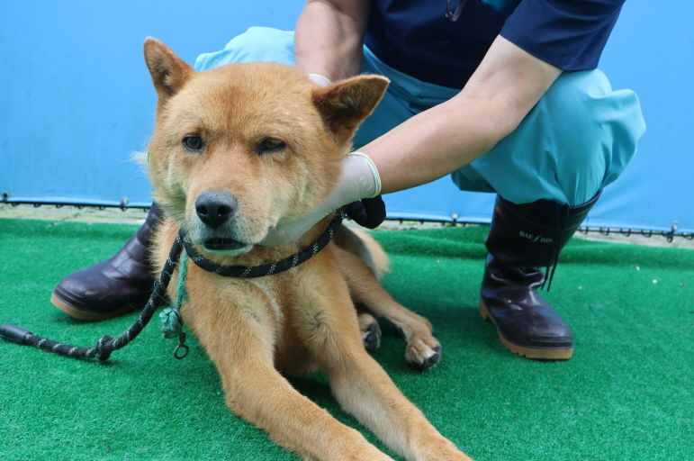 제주 동물보호센터_450650202401897