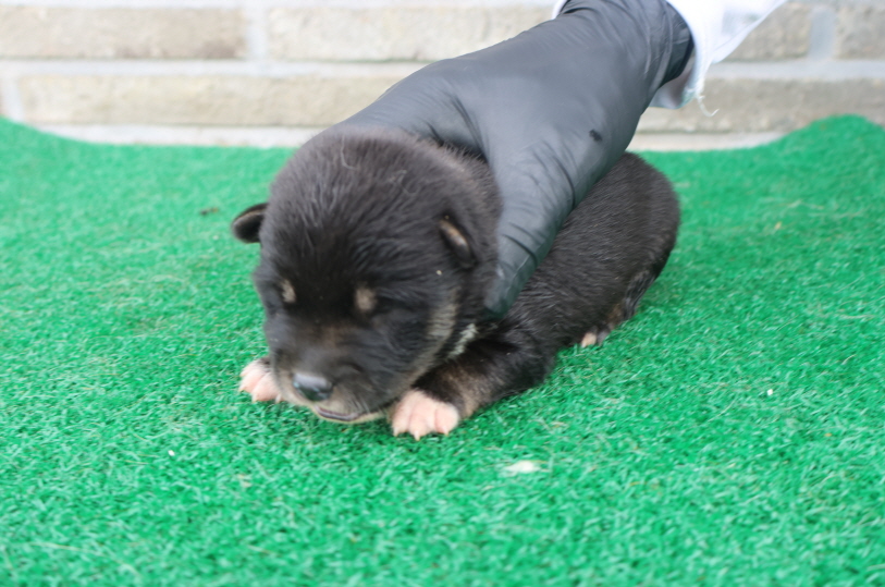 제주 동물보호센터_450650202401894