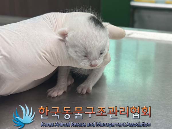 종료(자연사) 한국…